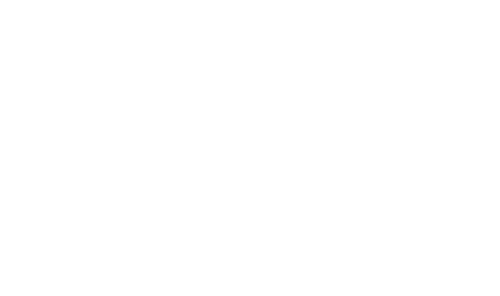 irsky cob logo 500px white